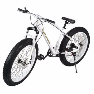 basecamp "Lebron" 7-Speed Snow Bike